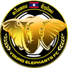 Young Elephants