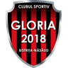 Gloria Bistriţa