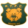 Potters Tigers