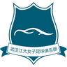 Wuhan Jiangda W