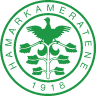Hamarkameratene U19