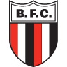 Botafogo SP B