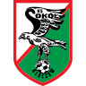 Sokół Kleczew