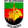 Słowianin