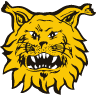 Ilves III