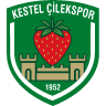 Kestel Çilek