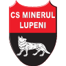 Minerul Lupeni