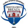 Tricolorul Breaza