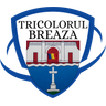 Tricolorul Breaza logo, badge-only version
