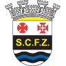 Ferreira Zêzere
