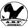 Olimpic Zărneşti