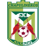 Chapulineros