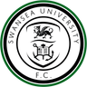 Swansea University