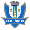 CSM Targu Jiu