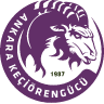 Keçiörengücü