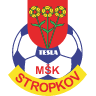 MSK Tesla Stropkov