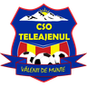 Teleajenul