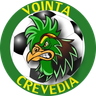 Voința Crevedia
