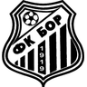 OFK Bor 1919