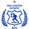 Wellington Olympic logo, 1-star version