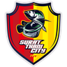 Surat Thani City