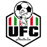 UFC Hallein
