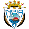 Noia logo, alternative version