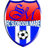 Slobozia Mare