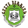 Gazte Berriak