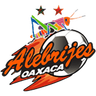 Alebrijes de Oaxaca II
