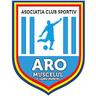 ARO Muscelul Câmpulung