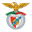 Arronches e Benfica