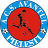 Avântul Pieleşti