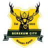 Berekum City