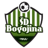 Bogojina