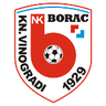 Borac Kneževi Vinogradi