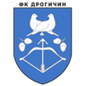 Drogichin