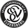 Elversberg U19