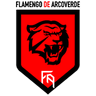 Flamengo Arcoverde