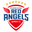 Incheon Red Angels