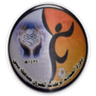 Moghayer Al Sarhan
