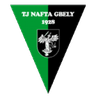 Nafta Gbely