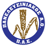 Panelefsiniakos