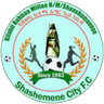 Shashemene Kenema