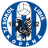 Sokol Libiš