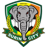 Surin