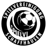 SV Schaffhausen