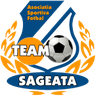 Team Săgeata