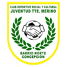 Teniente Merino