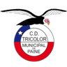 Tricolor de Paine